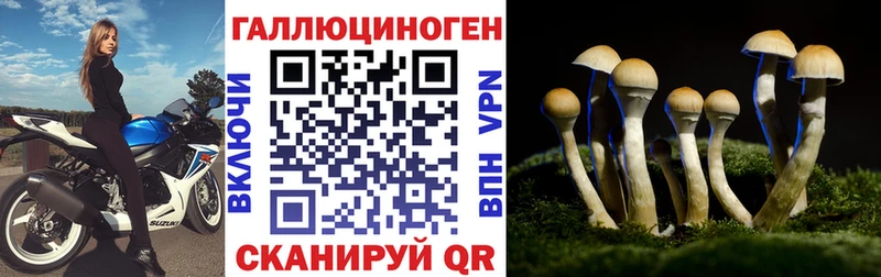 Псилоцибиновые грибы Cubensis  Купить  Ачинск 